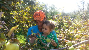 Daniel Little and Aly Benoit pick apples together during a family outing at the Happy Apple orchard earlier this season. Photo by Megan Miras.